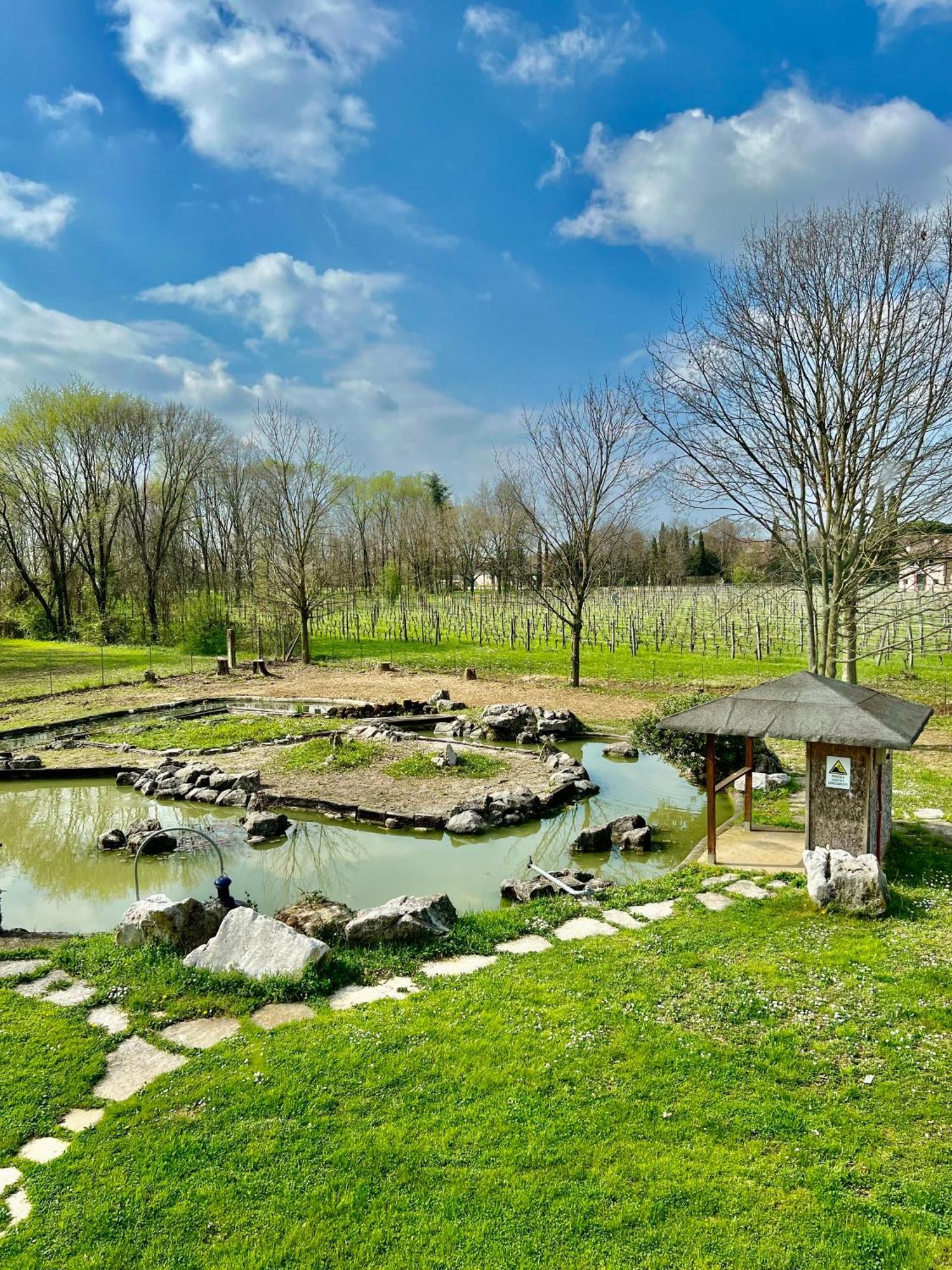 Villa Saten Pavia d'Udine Zewnętrze zdjęcie